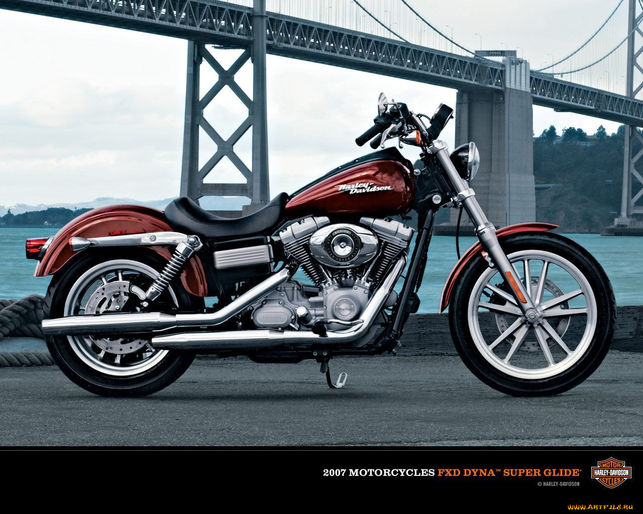 , harley, davidson